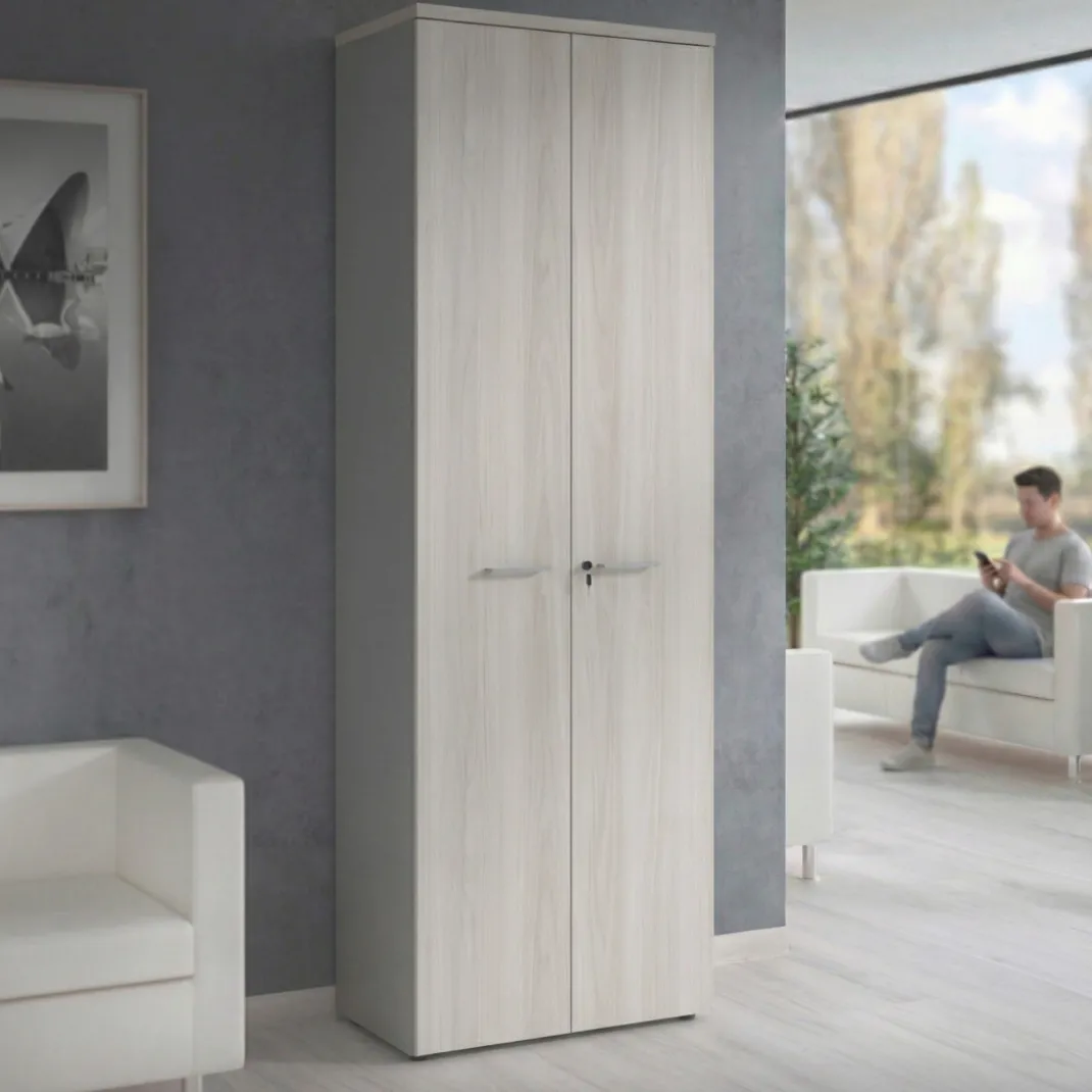 Armario de oficina Basic con puerta alta, medida 232x80