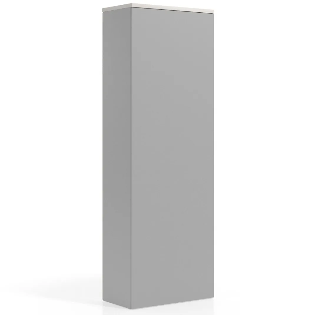 Armario de oficina Basic con puerta alta, medida 232x80
