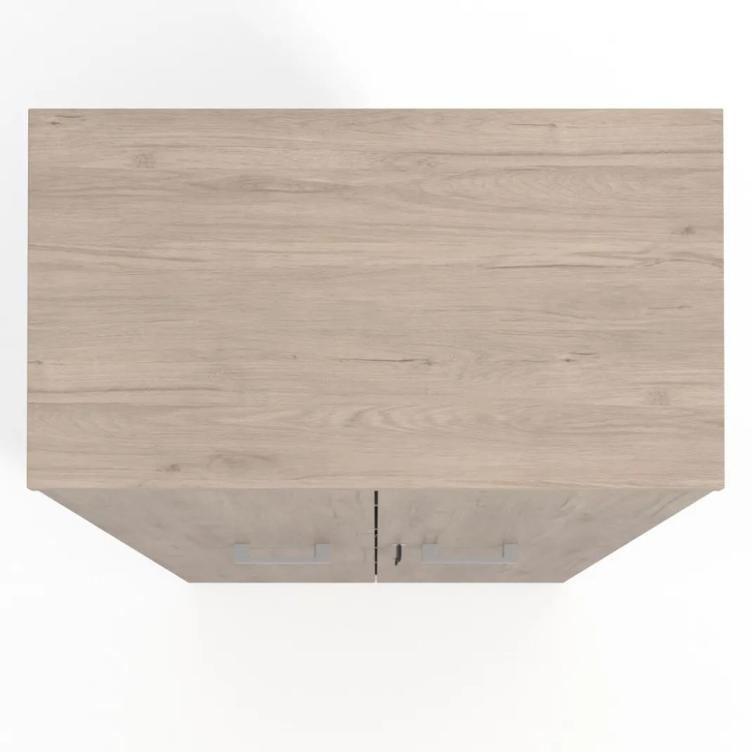 Armario de oficina Basic con puerta alta, medida 193x80
