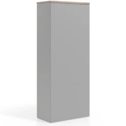 Armario de oficina Basic con puerta alta, medida 193x80