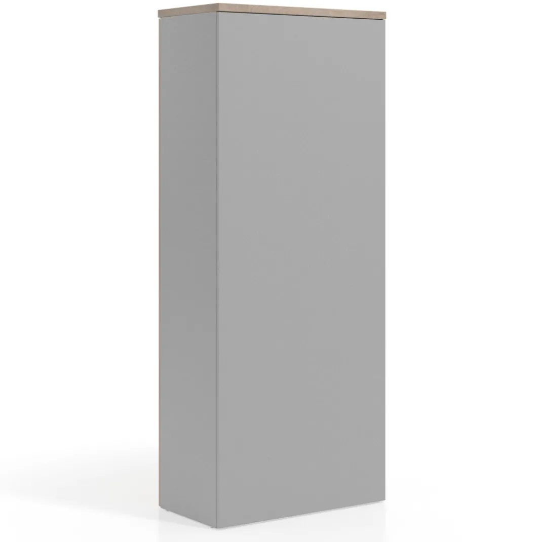 Armario de oficina Basic con puerta alta, medida 193x80