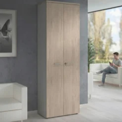 Armario de oficina Basic con puerta alta, medida 232x80