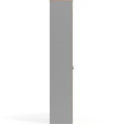 Armario de oficina Basic con puerta alta, medida 232x80