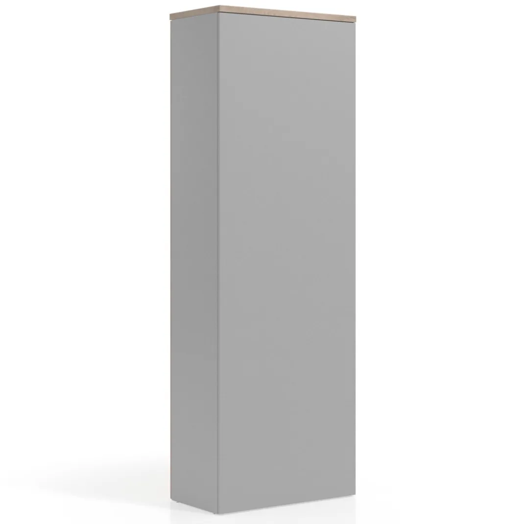 Armario de oficina Basic con puerta alta, medida 232x80
