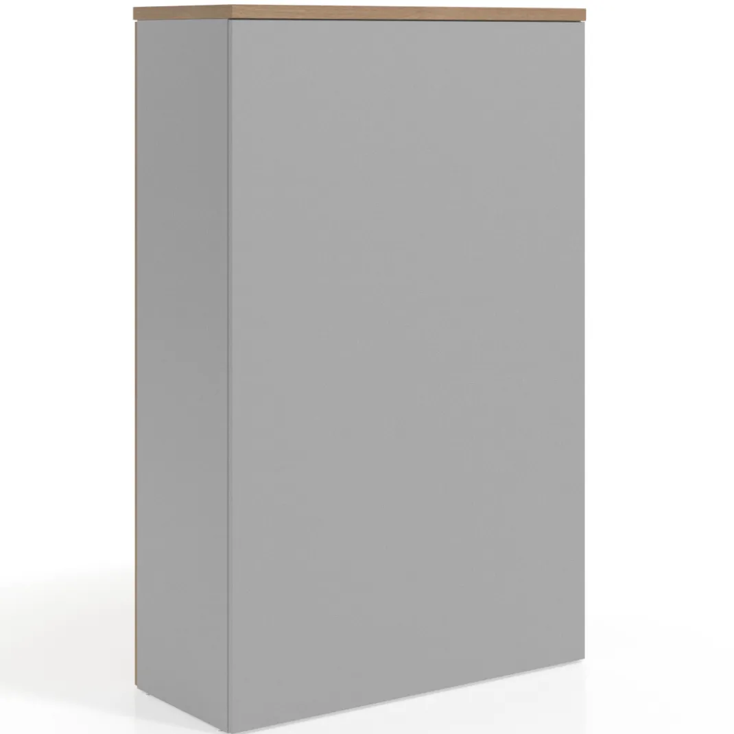 Armario de oficina Colors con puerta + estantes, medida 236x100