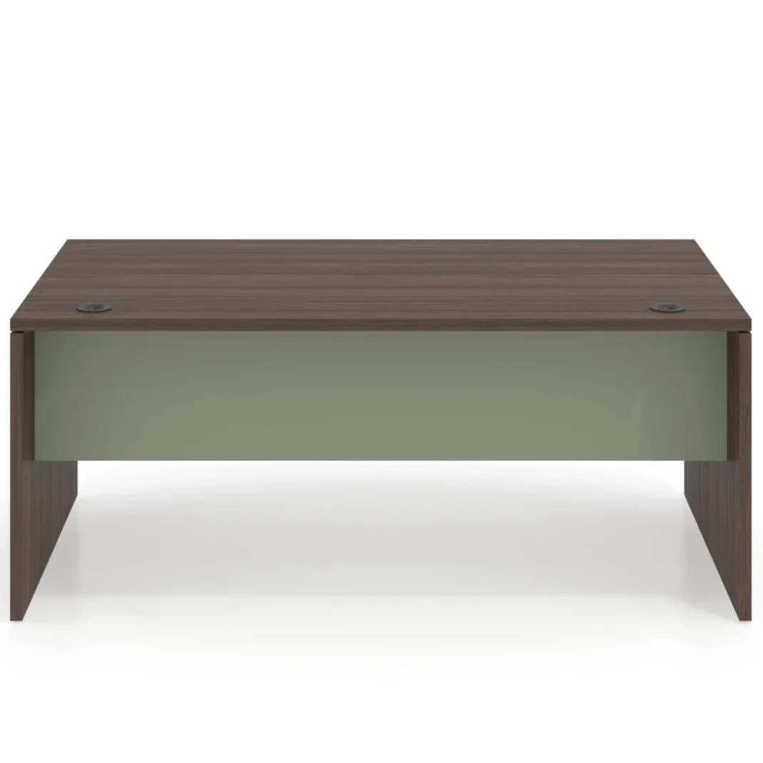 Mesa de Dirección Work Plus fondo 100 estructura mistral