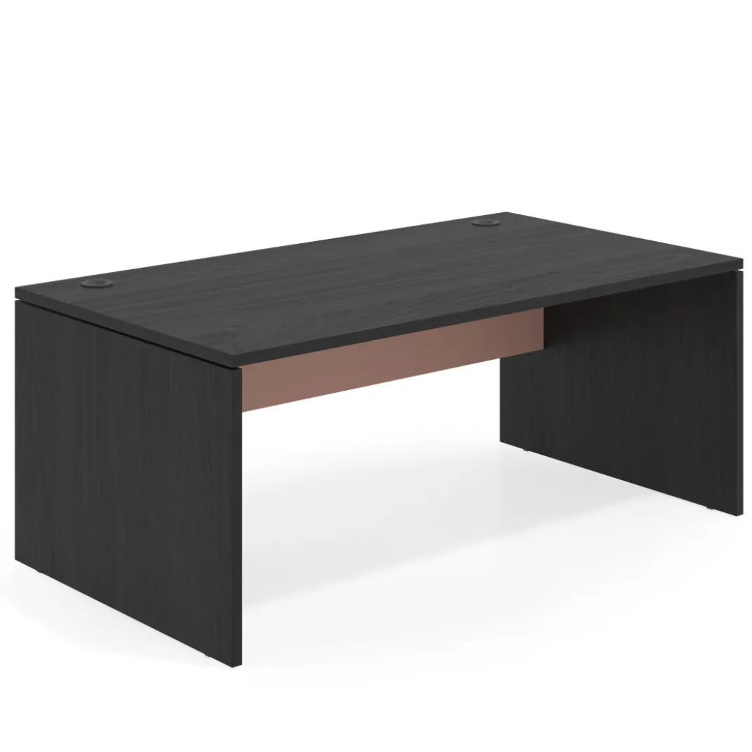 Mesa de Dirección Work Plus fondo 100 estructura bocamina