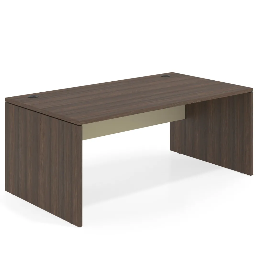 Mesa de Dirección Work Plus fondo 100 estructura mistral