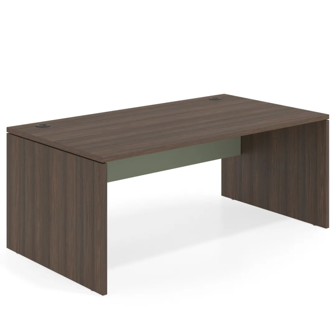 Mesa de Dirección Work Plus fondo 100 estructura mistral
