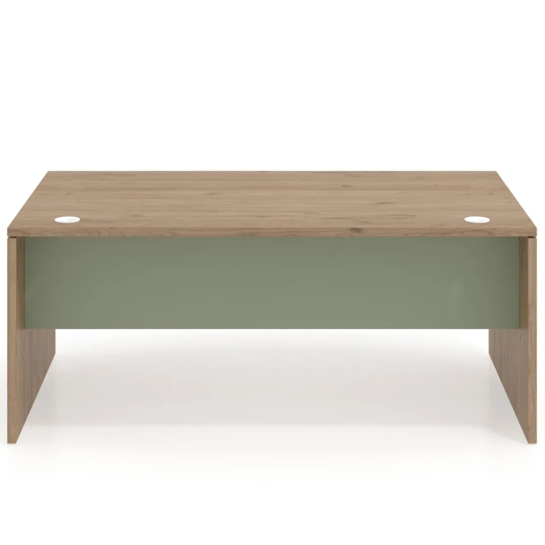Mesa de Dirección Work Plus fondo 100 estructura naturale