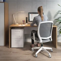 Mesa de Escritorio Estrecha Work Plus fondo 60 estructura naturale