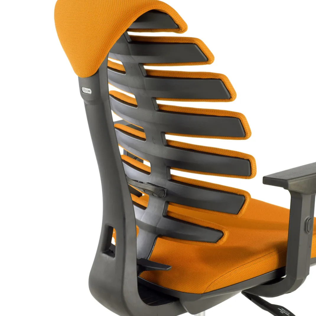 Silla de oficina ergonómica Spine