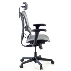 Silla de oficina Ergonomica IOO, soporte lumbar
