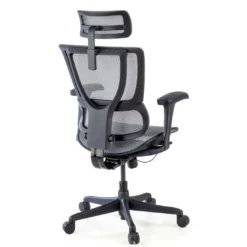 Silla de oficina Ergonomica IOO, soporte lumbar