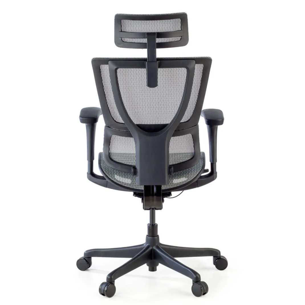 Silla de oficina Ergonomica IOO, soporte lumbar