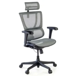 Silla de oficina Ergonomica IOO, soporte lumbar