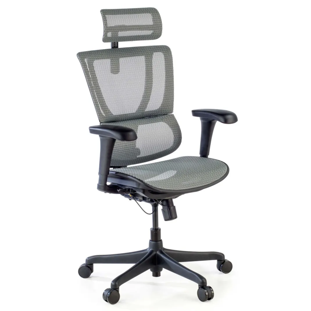 Silla de oficina Ergonomica IOO, soporte lumbar