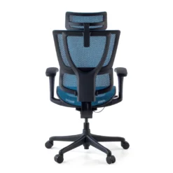 Silla de oficina Ergonomica IOO, soporte lumbar