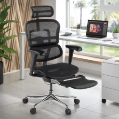Silla ergonómica con reposapies Ergohuman gen2