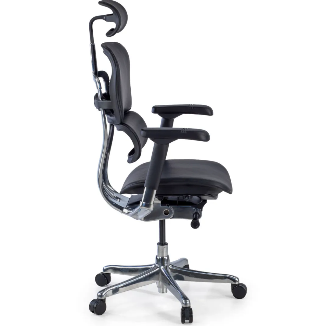 Silla Ergonómica Ergohuman Elite, piel natural