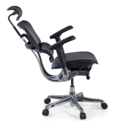 Silla Ergonómica Ergohuman Elite, piel natural