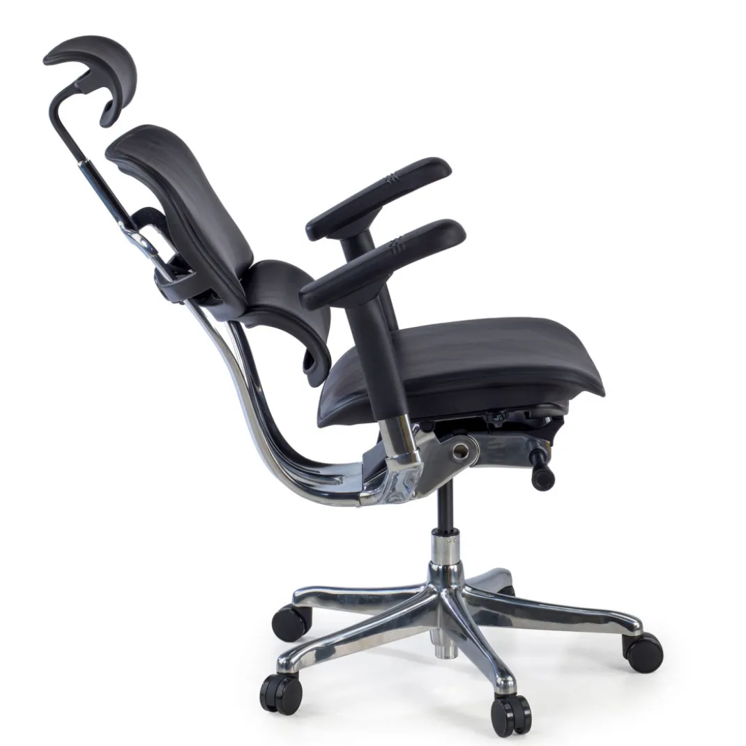 Silla Ergonómica Ergohuman Elite, piel natural