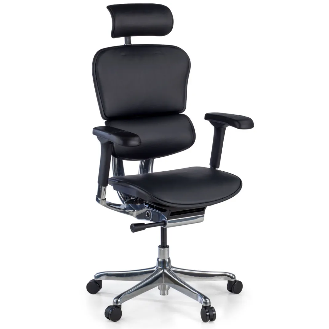 Silla Ergonómica Ergohuman Elite, piel natural