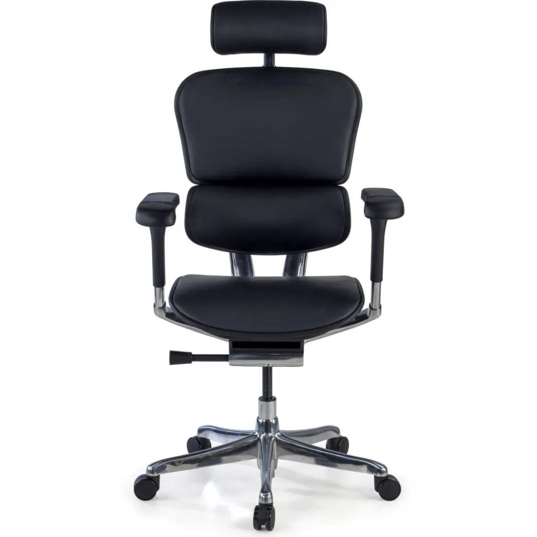 Silla Ergonómica Ergohuman Elite, piel natural