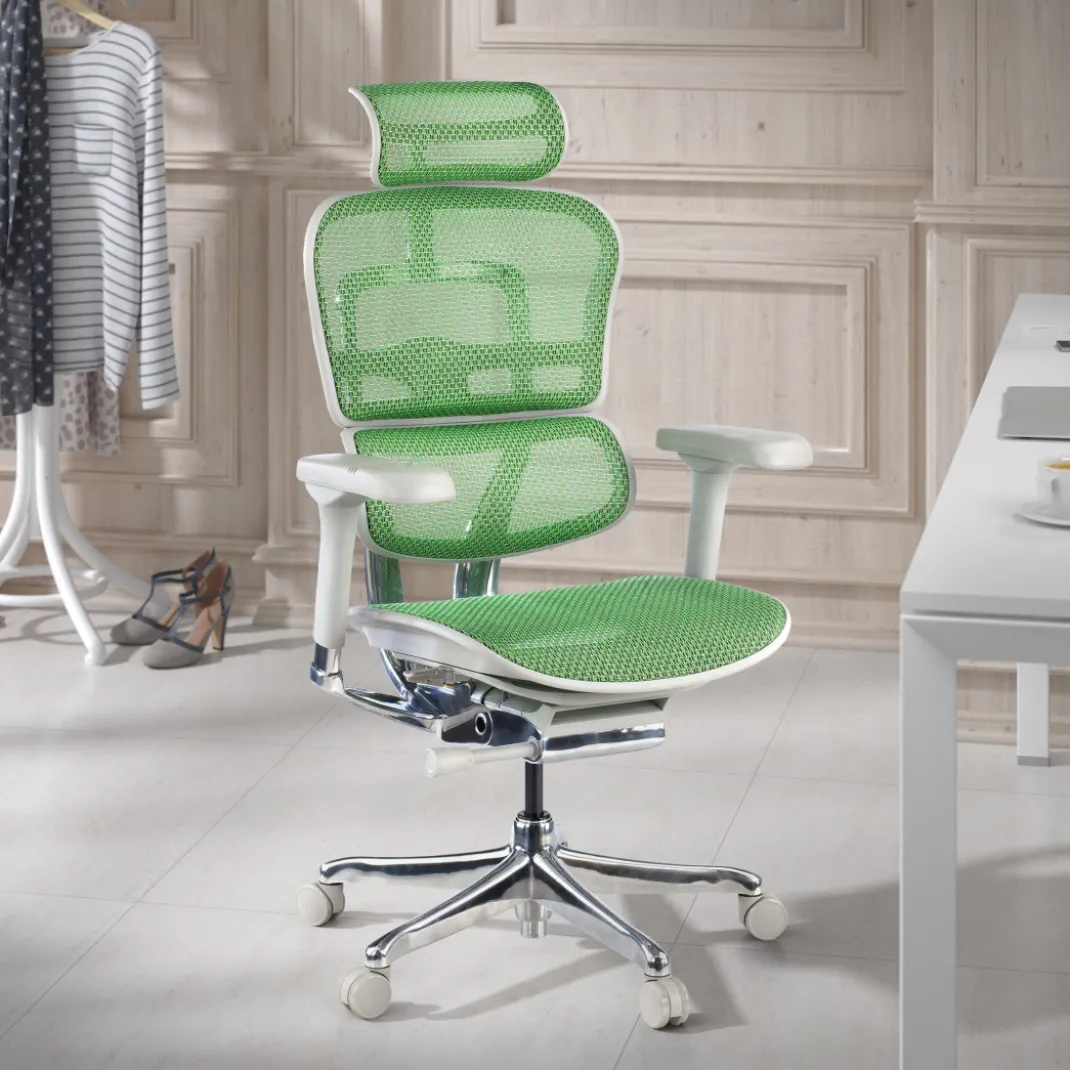 Silla ergonómica Ergohuman Elite, estructura blanca