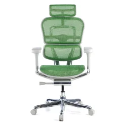 Silla ergonómica Ergohuman Elite, estructura blanca