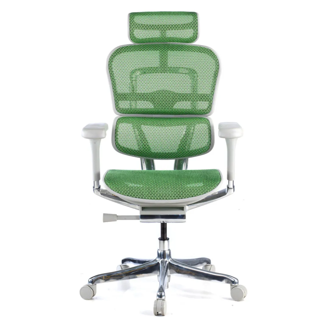 Silla ergonómica Ergohuman Elite, estructura blanca