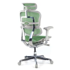 Silla ergonómica Ergohuman Elite, estructura blanca