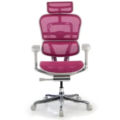 Silla ergonómica Ergohuman Elite, estructura blanca