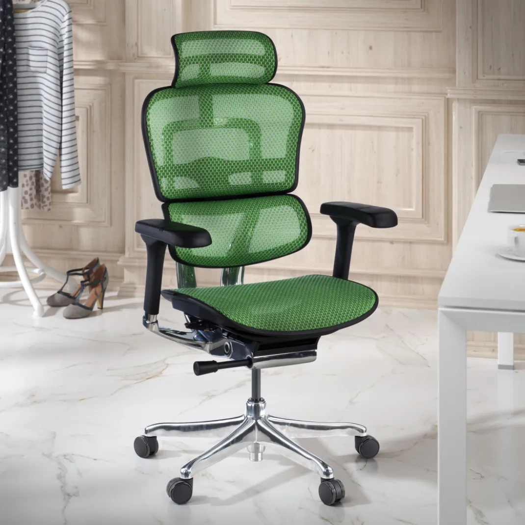 Silla ergonómica Ergohuman Elite, estructura negra
