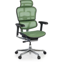 Silla ergonómica Ergohuman Elite, estructura negra