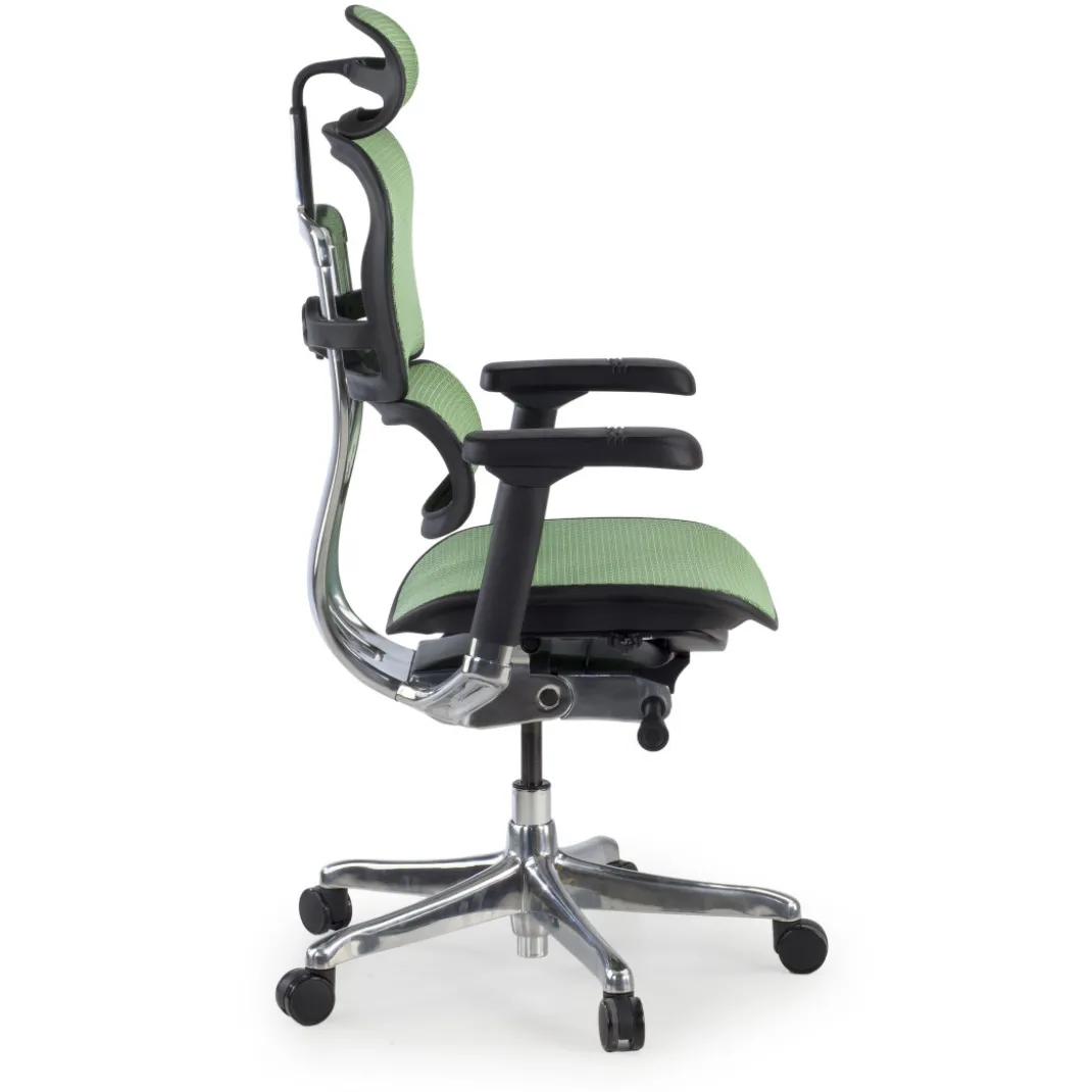 Silla ergonómica Ergohuman Elite, estructura negra