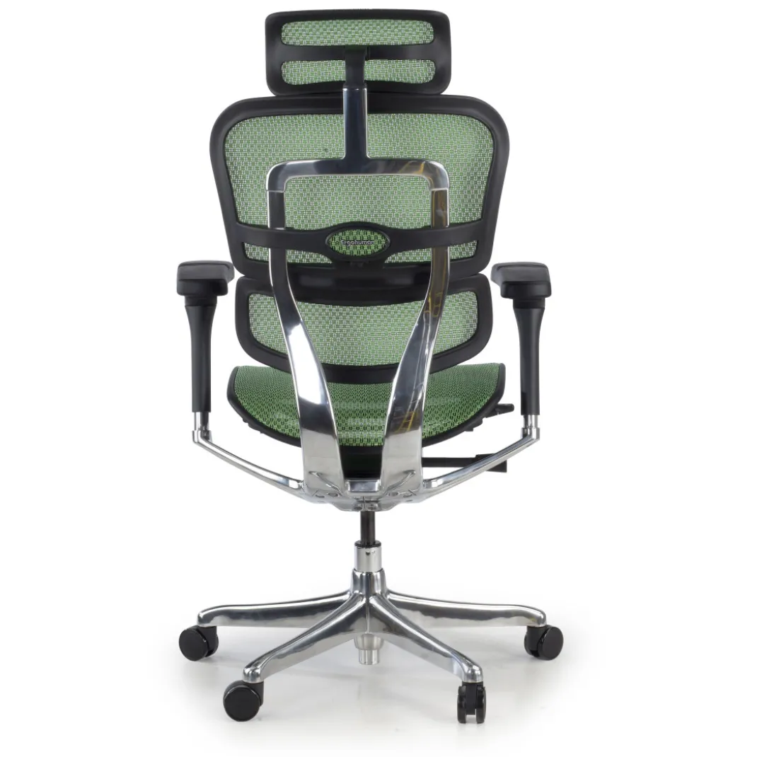 Silla ergonómica Ergohuman Elite, estructura negra