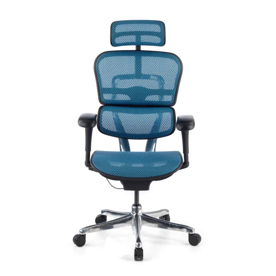 Silla ergonómica Ergohuman Gen2, estructura negra