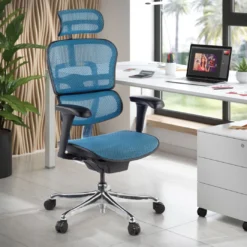 Silla ergonómica Ergohuman Gen2, estructura negra
