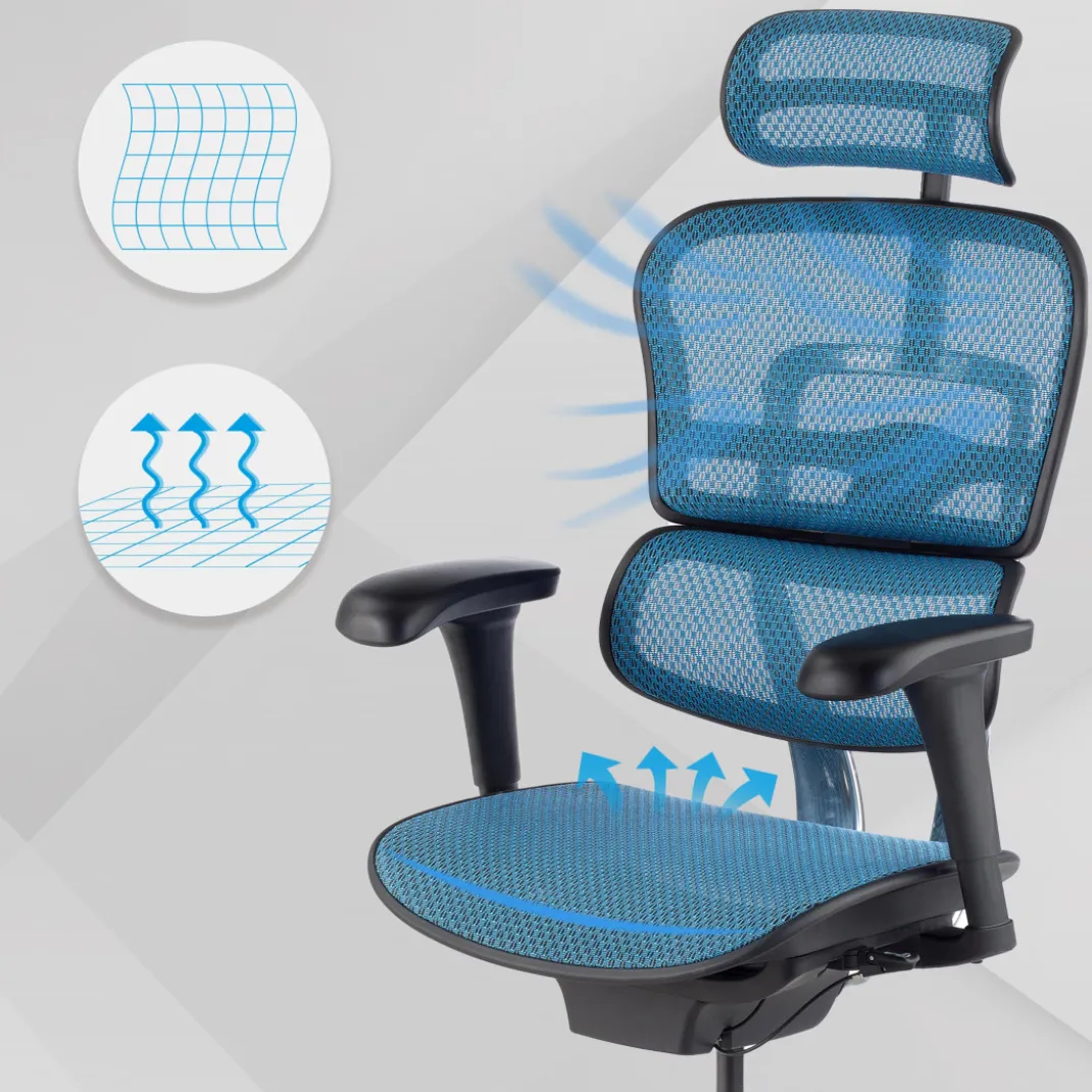 Silla ergonómica Ergohuman Gen2, estructura negra