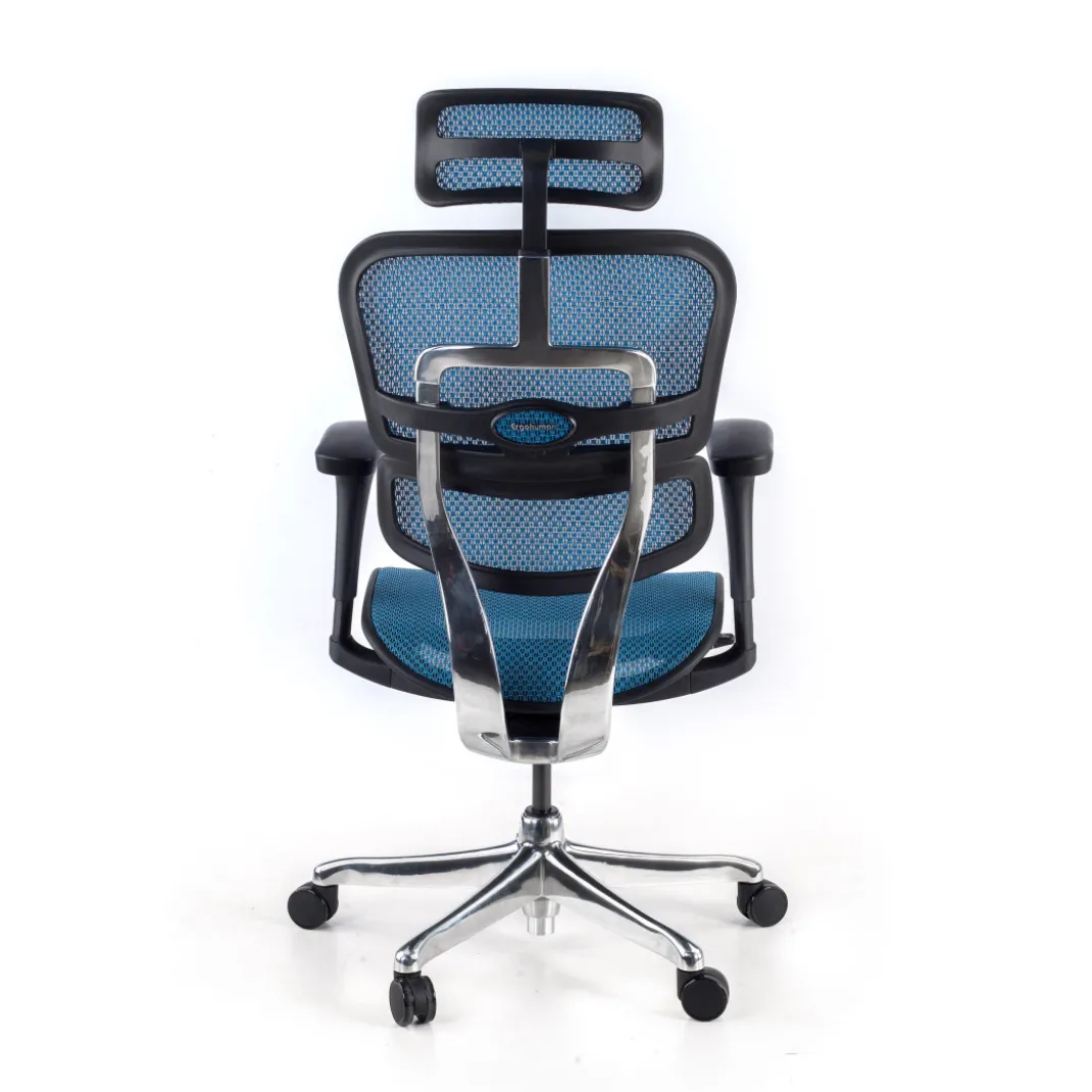Silla ergonómica Ergohuman Gen2, estructura negra