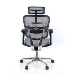 Silla ergonómica Ergohuman Gen2, estructura negra