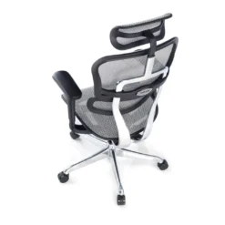 Silla ergonómica Ergohuman Gen2, estructura negra
