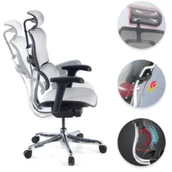 Silla ergonómica Ergohuman Gen2, estructura negra