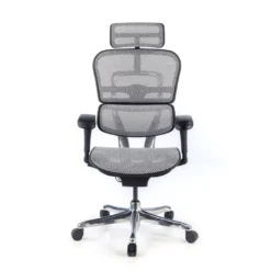Silla ergonómica Ergohuman Gen2, estructura negra