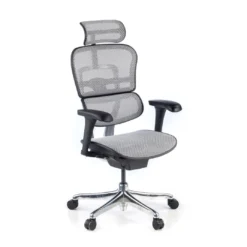 Silla ergonómica Ergohuman Gen2, estructura negra