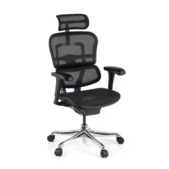Silla ergonómica Ergohuman Gen2, estructura negra