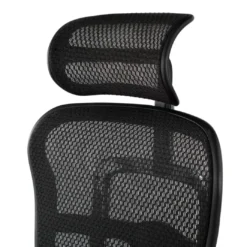 Silla ergonómica Ergohuman Gen2, estructura negra