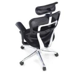Silla ergonómica Ergohuman Gen2, estructura negra
