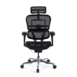 Silla ergonómica Ergohuman Gen2, estructura negra